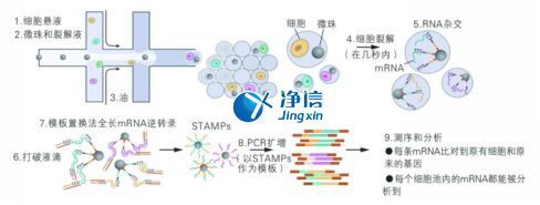 中國人自己的單細(xì)胞測序儀來了！,Drop-seq